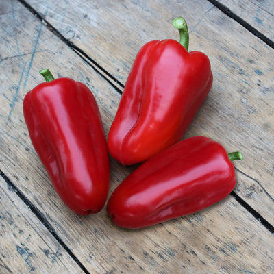 Snacking Red Pepper (2 Pack)