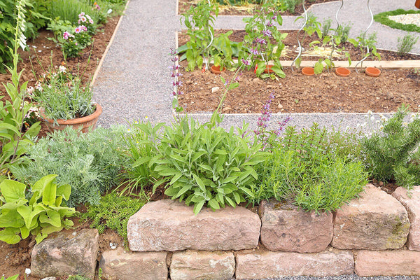 Edible Landscaping Basics: garden with paths