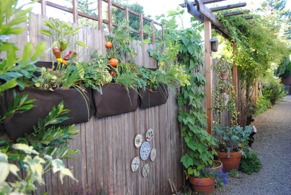 vertical gardening on a fence