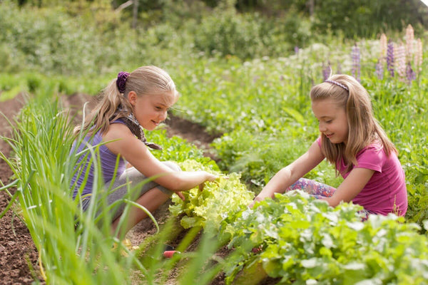 natural weeding techniques: kids pulling weeds