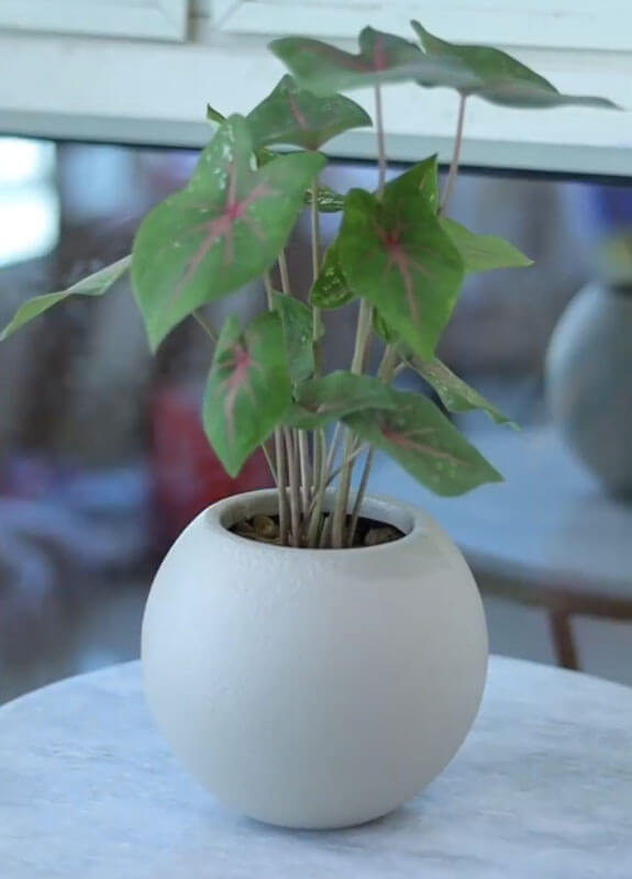 small indoor plant pots