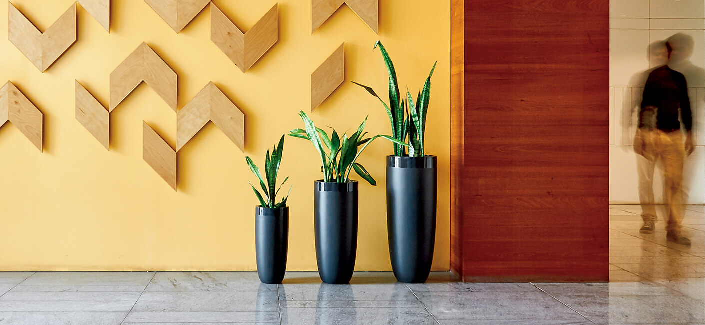 <p>Use indoor flower pots to spruce up your home decor; hereâ€™s how</p>