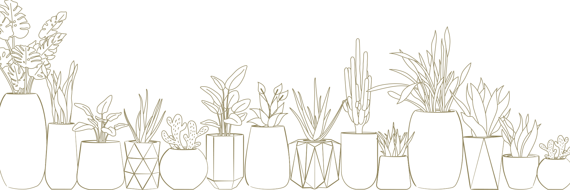 Line Drawing of fiberglass planters from bonasila 